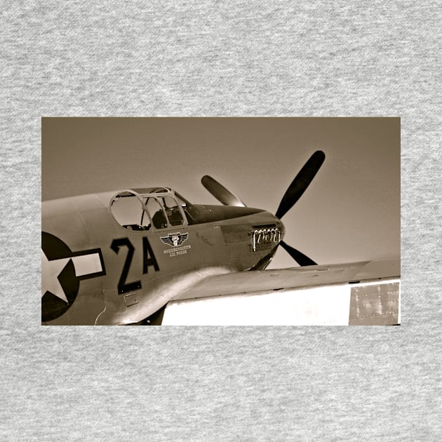 Tuskegee Airmen P51 Mustang Fighter Plane by Scubagirlamy